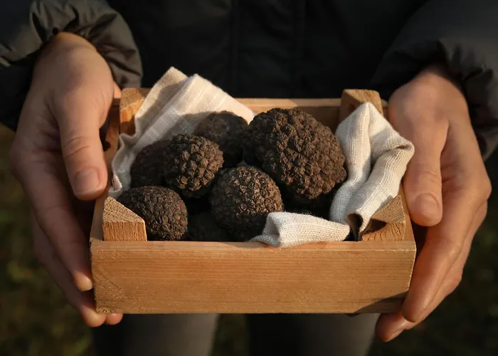 Steinhaus By Interhome بيت للعطل Kotli